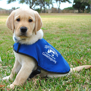 Guide Dogs Charity Cross Stitch Project!