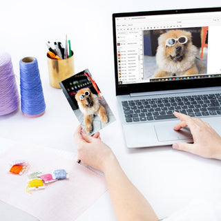 Photo of a dog converted to a cross stitch pattern using Love It Stitch It