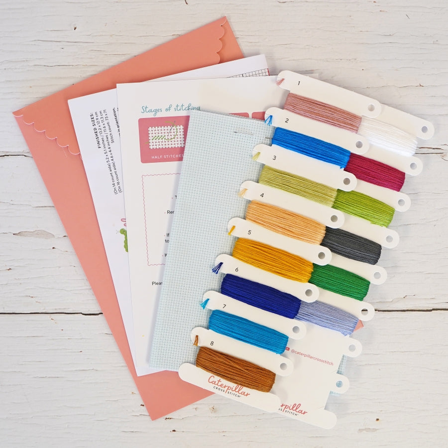 world map cross stitch kit 