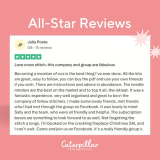 All-Star Stitcher Customer Review